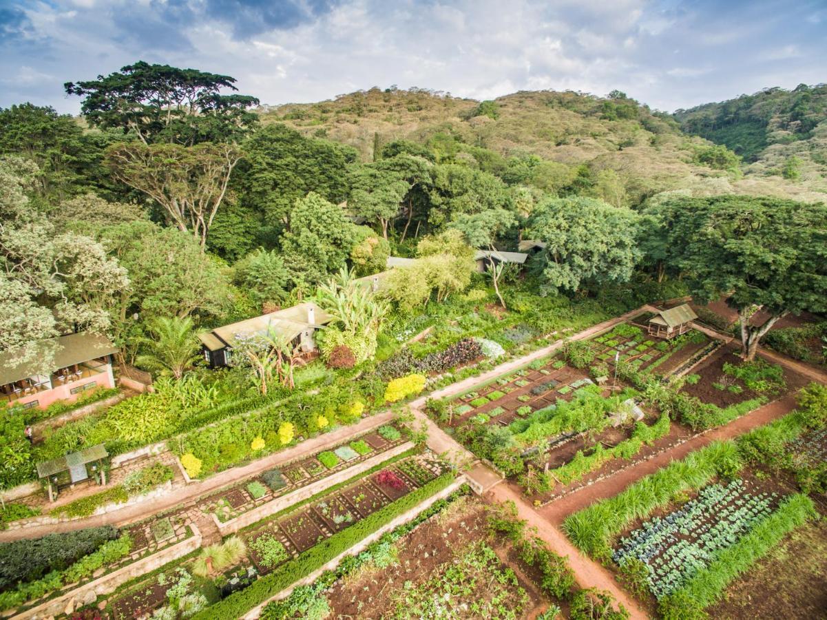 Gibb'S Farm 호텔 카라투 외부 사진